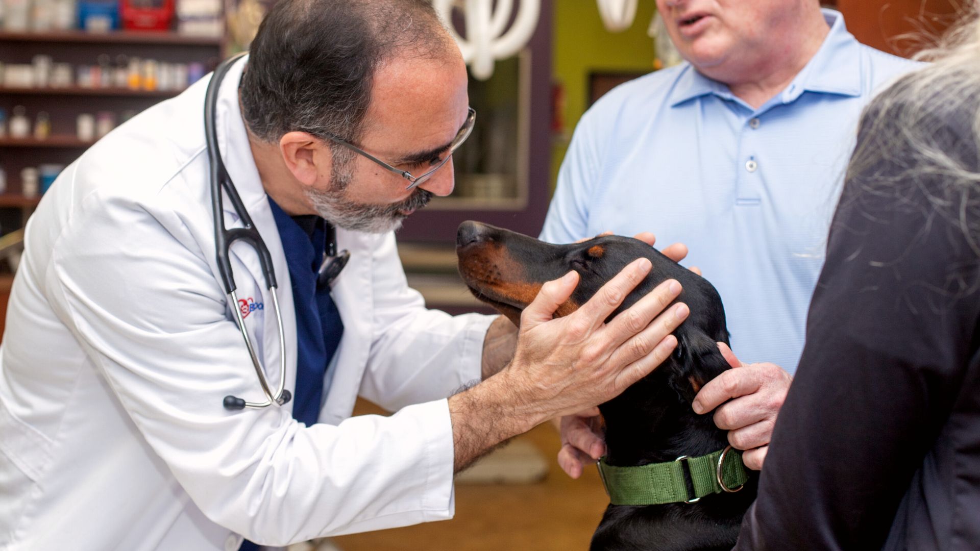 Pet Medical Care In Riverview, FL 33578 | Brandon Lakes Animal Hospital